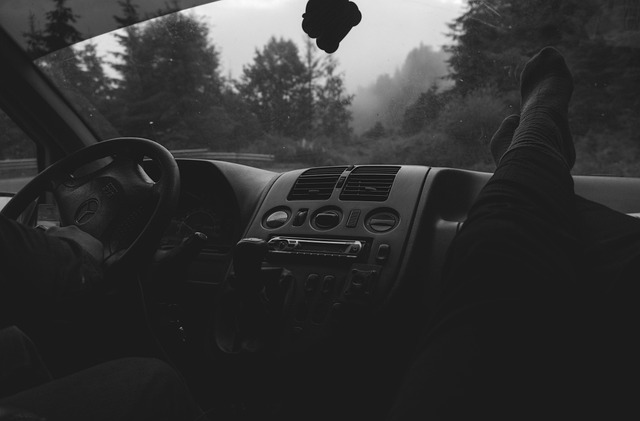 Free Trip Car photo and picture
