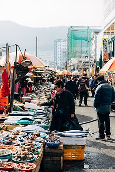 Free Fish Market photo and picture