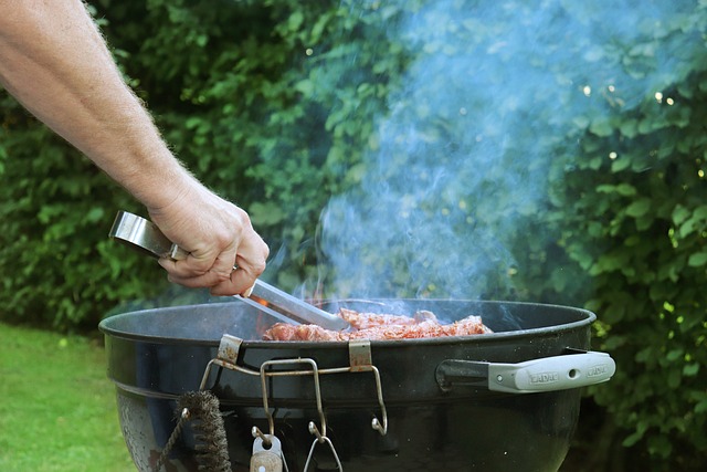 Grill, Fleisch, Gegrillt, Grillen, Feier