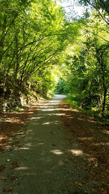 Sentier Montagne La Nature - Photo gratuite sur Pixabay - Pixabay