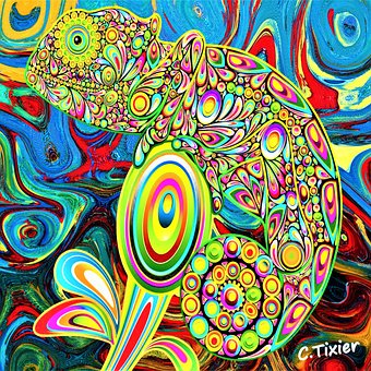 Free Chameleon Psychedelic photo and picture