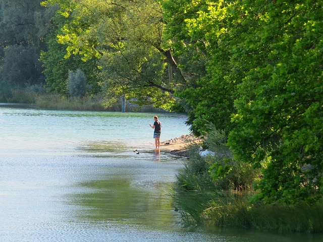 Free Lake Lake Constance photo and picture