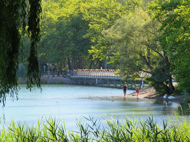 Free Lake Lake Constance photo and picture