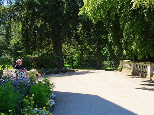 Free Park Break photo and picture