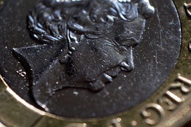 Free Coin Pound photo and picture