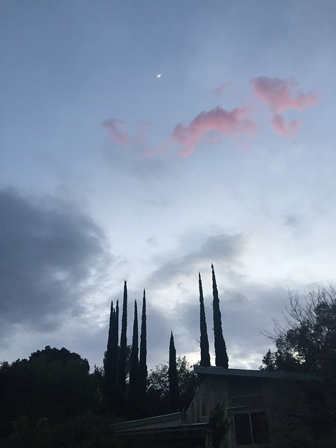 Free Night Evening photo and picture