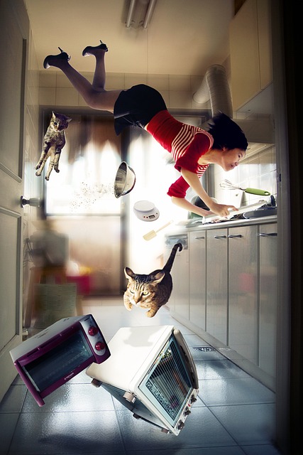 Mujer, Gatos, Horno, Microondas, Cocina