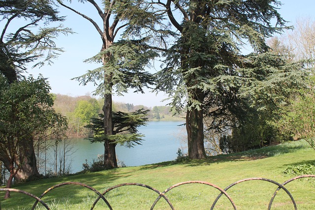 Free Blenheim Palace Woodstock photo and picture