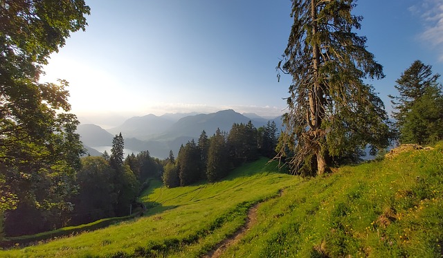 Free Outdoors Fields photo and picture