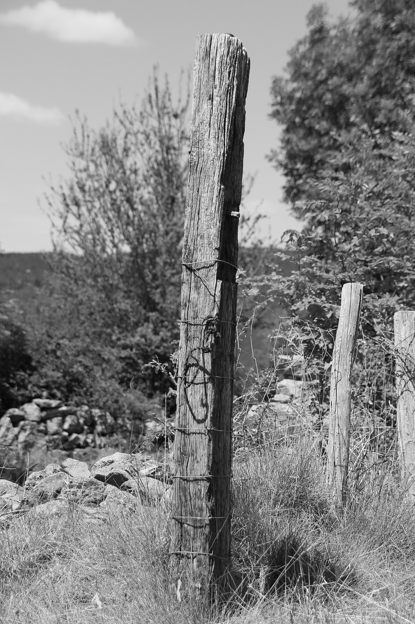 Fencing Black White And - Free photo on Pixabay - Pixabay