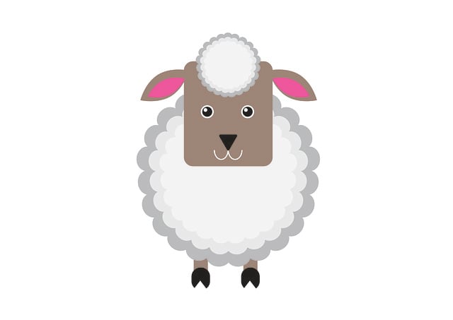 羊 羊肉 卡通片 - Pixabay上的免费图片 - Pixabay