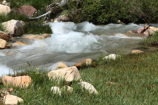 Free Water River photo and picture