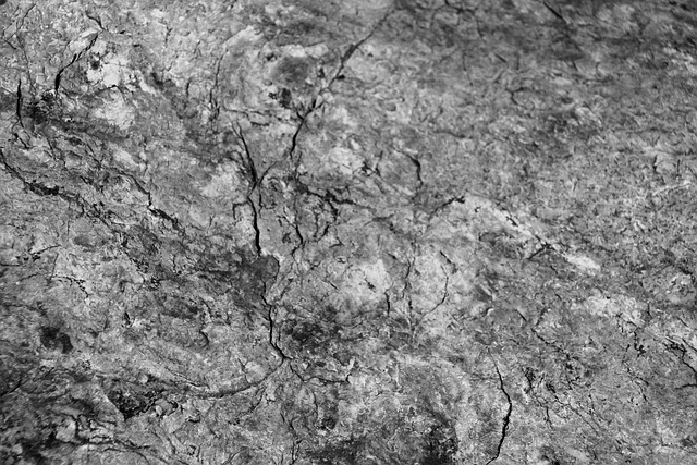 Free Texture Stone photo and picture