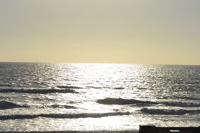 Free Ocean Lacanau photo and picture