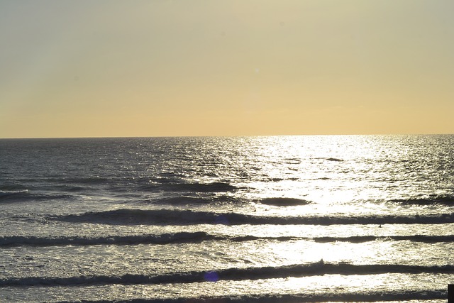 Free Ocean Night photo and picture