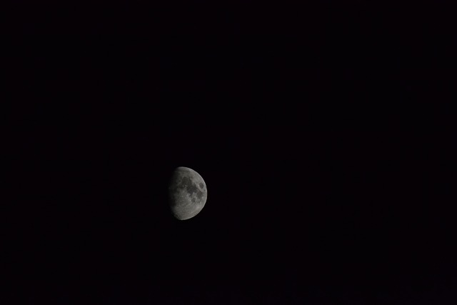 Free Moon Night photo and picture