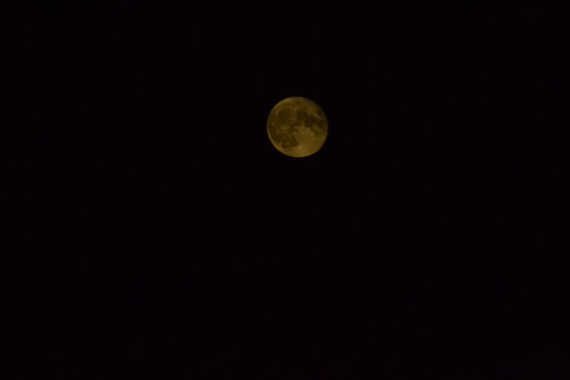Free Moon Redhead photo and picture