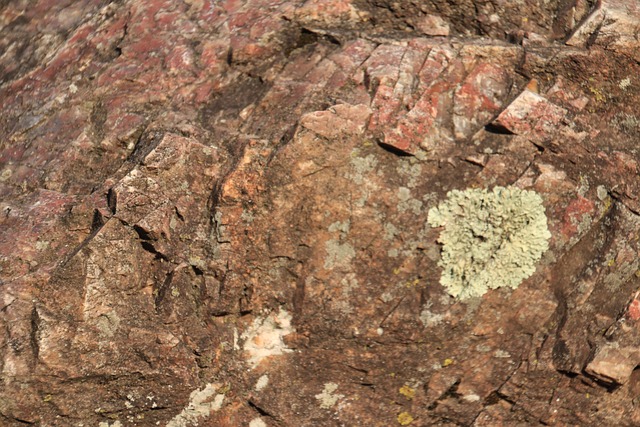 Free Texture Stone photo and picture