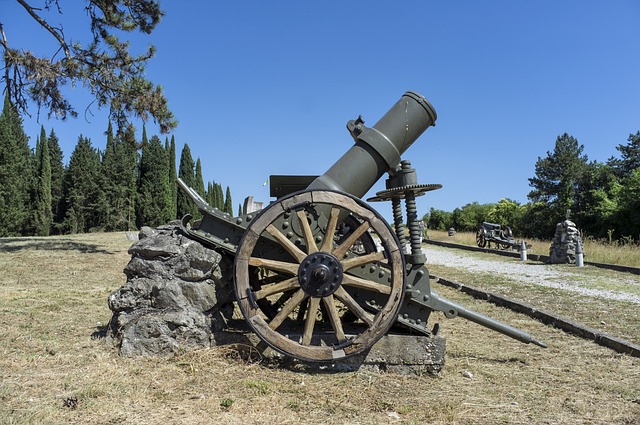 Free Cannon Wwi photo and picture
