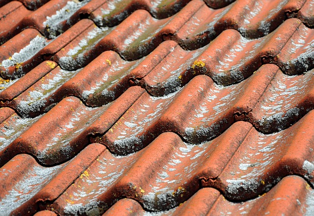 Free Roof Roof Pan photo and picture