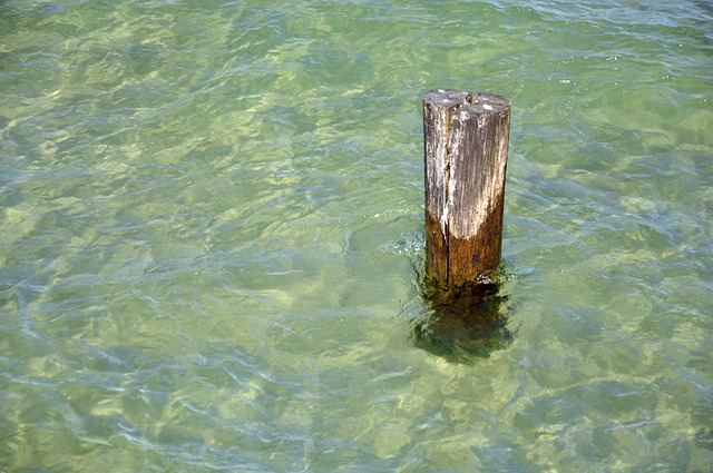 Free Sea Lake photo and picture