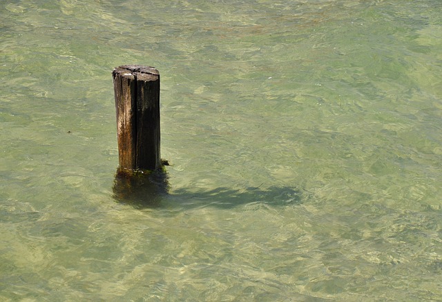 Free Sea Lake photo and picture