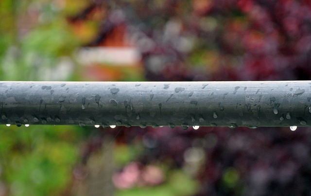 Free Rain Drops photo and picture