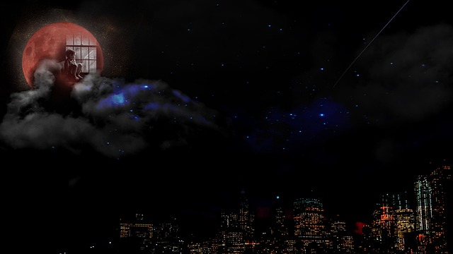 Free Night Moon photo and picture