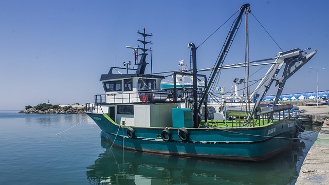 Free Ship Fishery photo and picture