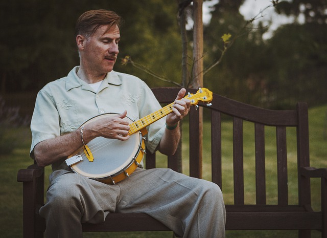 Free Banjo Ukulele Ukulele photo and picture