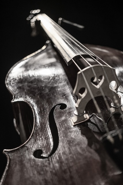 Free Violin Instrument photo and picture