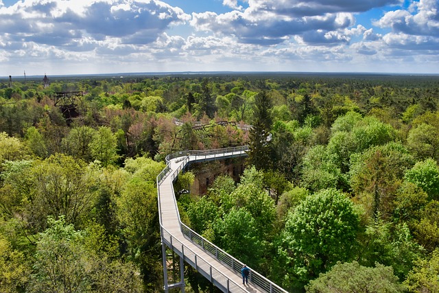 Free Forest Bridge photo and picture