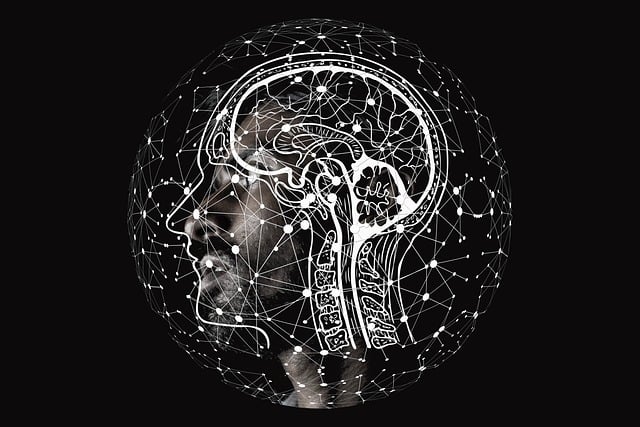 Free person brain digital illustration