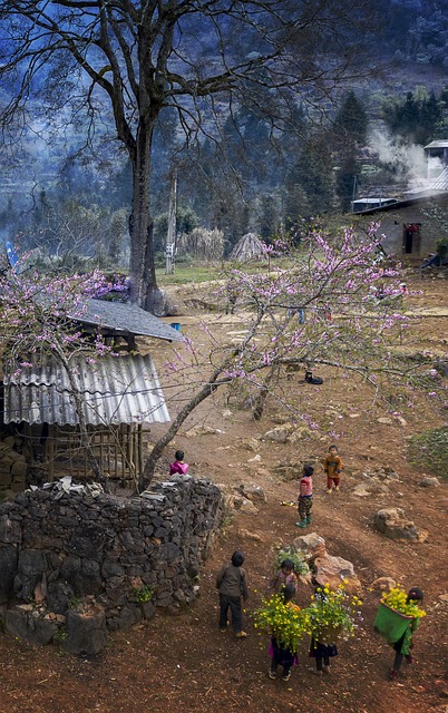 Casas, Vila, Pessoas, Arvores, Aventura