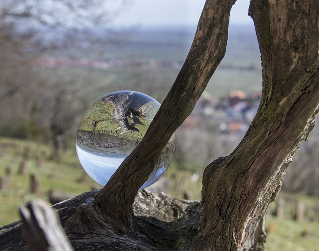 Landschaft, Baum, Natur, Holz, Lenskugel