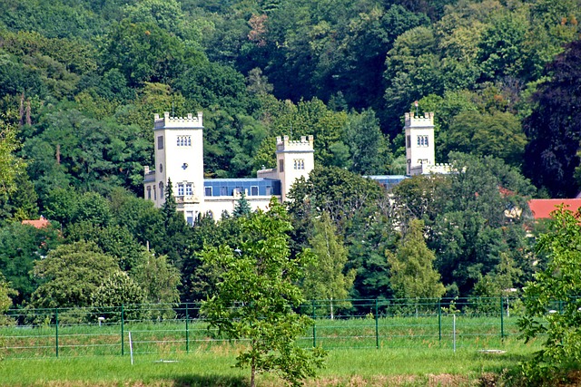 Dresden, Slot, Bygning, Turistattraktion