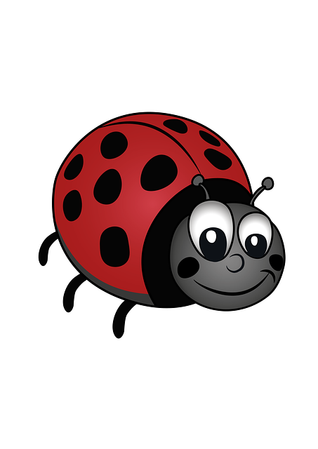 Free Ladybug Beetle illustration and picture