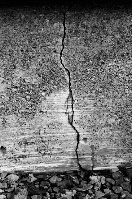 Free Concrete Cement photo and picture