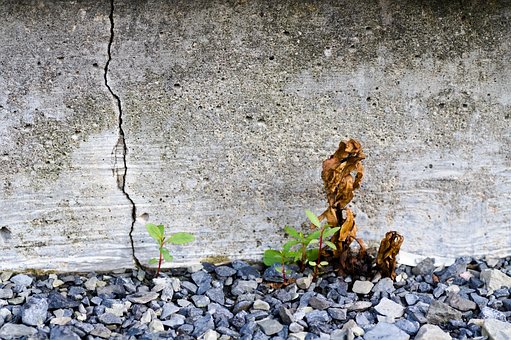 Free Concrete Cement photo and picture