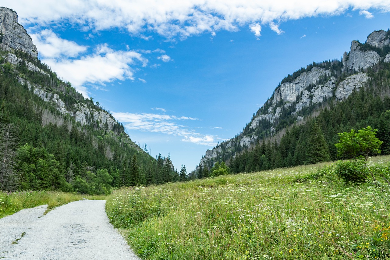 Vall e Montagnes Paysage Photo Gratuite Sur Pixabay Pixabay