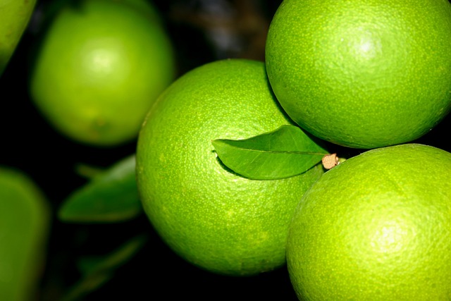 Free Oranges Fruit photo and picture