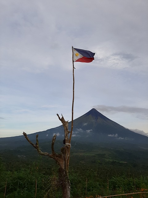 Free Flag Red photo and picture
