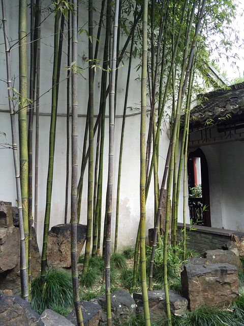 Free Suzhou The Scenery photo and picture
