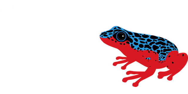 Free poison dart frog frog amphibian vector