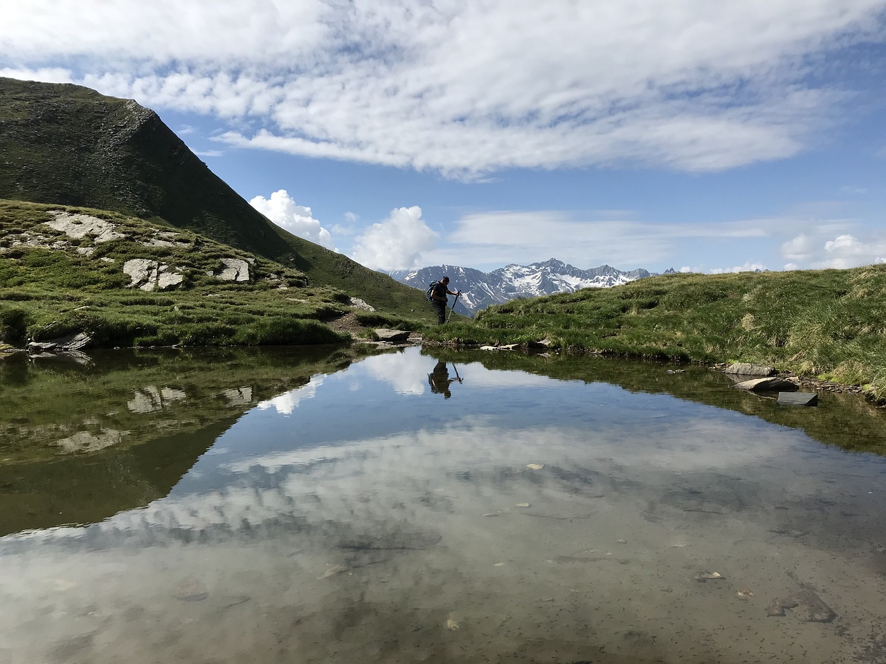 Mot Den Svarte Spissen Tanedas - Gratis foto på Pixabay - Pixabay
