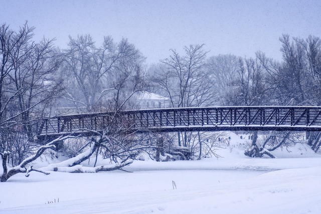 Puente, Nieve, Árboles, Bosque, Invierno