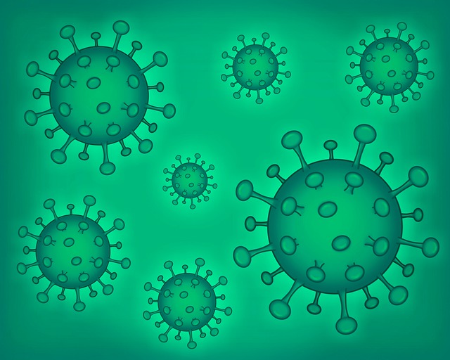 Free coronavirus covid-19 virus illustration
