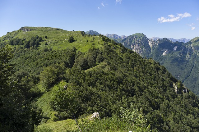 Free Mountain Green photo and picture