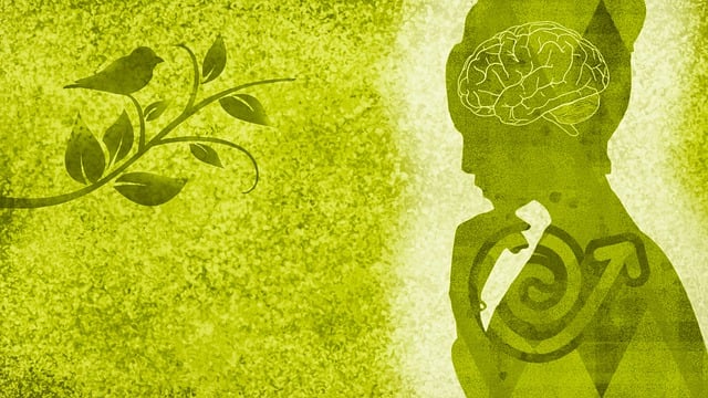 Mujer, Dama, Pájaro, Cerebro