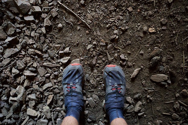 Free Hiking Shoes photo and picture